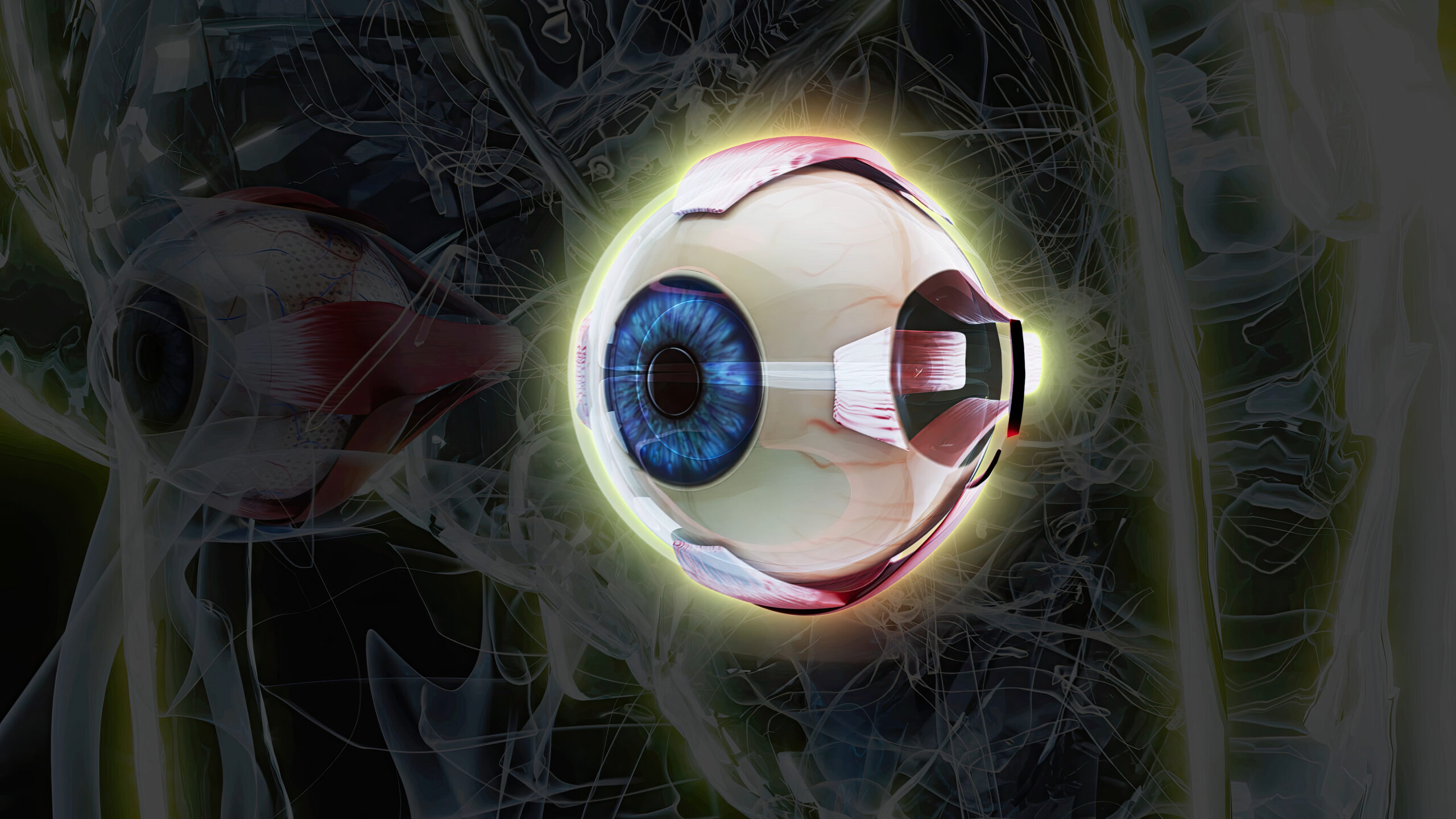 Rare Eye Diseases IHMO rare-eye-diseases-ihmo